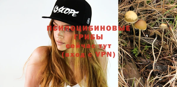 гашик Богородицк
